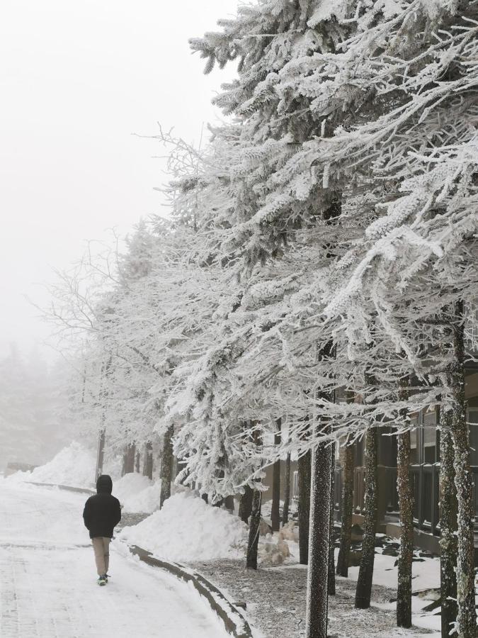 Gorgeous House For Ski Retreat Or Mountain Vacations Snowshoe Exterior foto